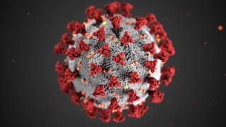 Corona-Virus COVID-19